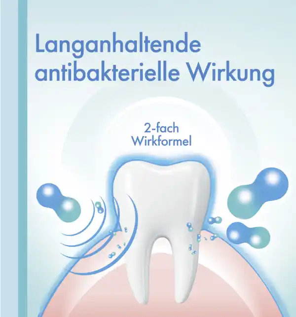 Bild 4 von meridol Rundumpflege Zahnpasta, 75 ml