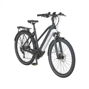 Prophete Trekking E-Bike Entdecker 5.0, Herren