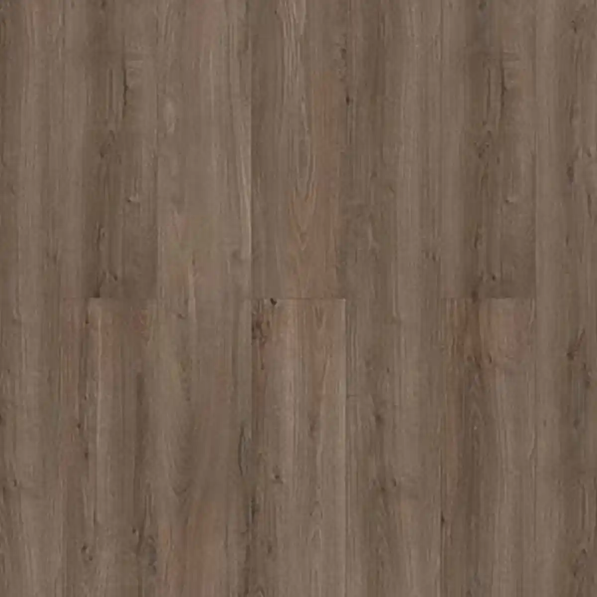 Bild 1 von toom Laminat 'Savanne' Eiche Bodman graubraun 7 mm