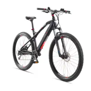 E-Bike MTB M924 29“, rot