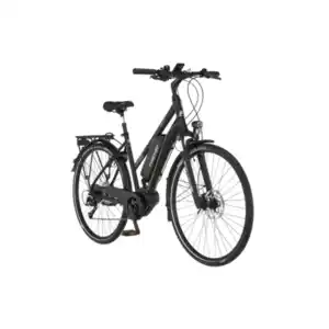 Trekking E-Bike Viator 3.0 557 Wh, 49 cm