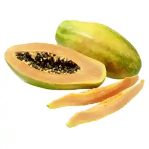 Spanien Riesenpapaya