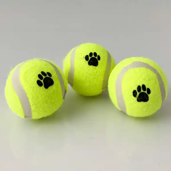 Bild 1 von Tennisball 3er Set für Hunde