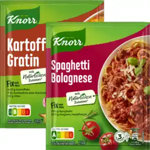 Knorr Fix oder Natürlich Lecker!