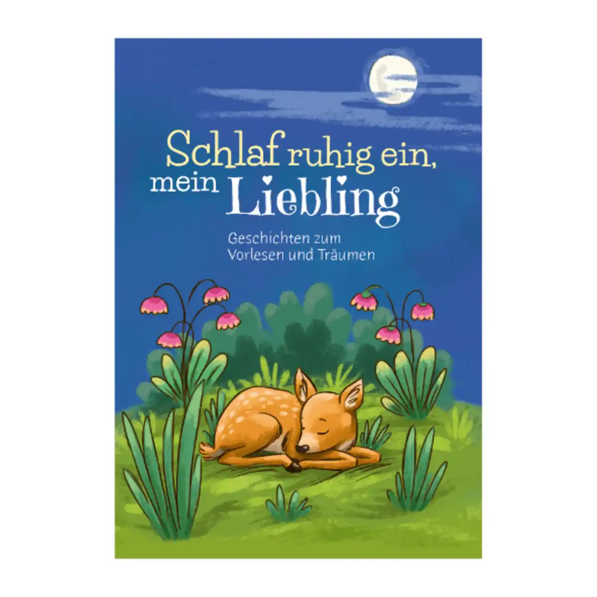 Bild 4 von Vorlesebuch Gute-Nacht-Geschichten