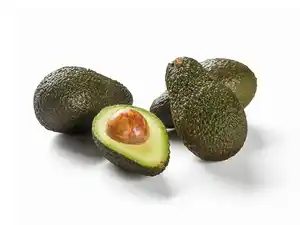 Avocado