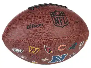 Wilson NFL 32 TEAM Mini Football