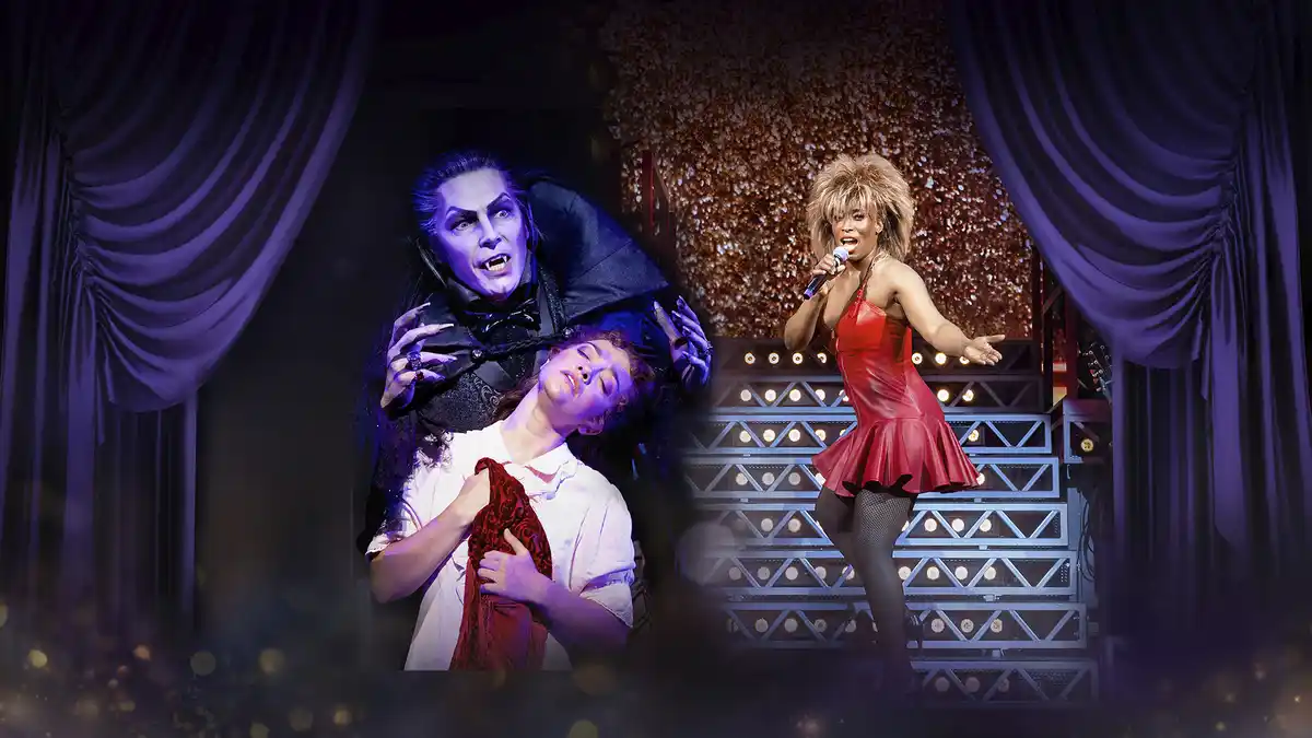 Bild 1 von Stuttgart - Musical-Glücksreise