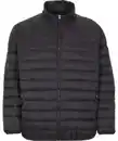 Bild 1 von Schwarze Steppjacke, schwarz