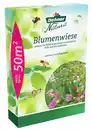 Bild 1 von Dehner Natura Premium Saatgut 'Blumenwiese'