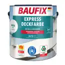 Bild 1 von 2in1 Express Deckfarbe 2,5 L weiß