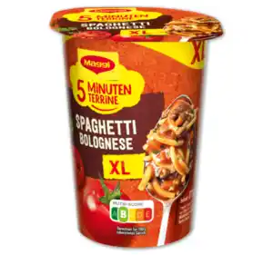 MAGGI 5 Minuten Terrine XL*