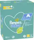 Bild 2 von Pampers Feuchttücher Fresh Clean