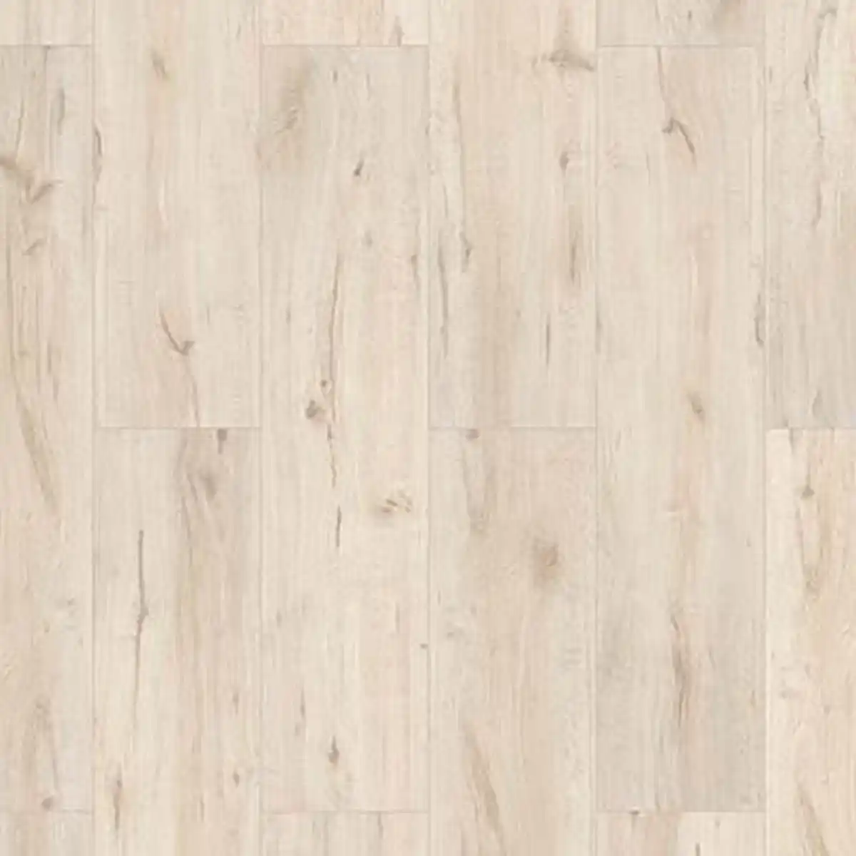 Bild 1 von toom Laminat 'Scandinavia' Eiche Amundsen hellgrau 7 mm