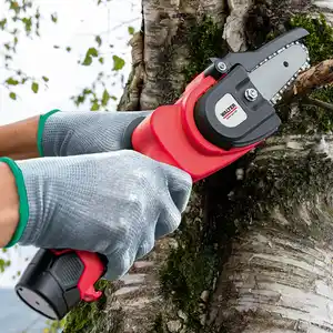 Walter Li-Ion Akku-Hochentaster / Gehölzschneider 2in1, 12 V