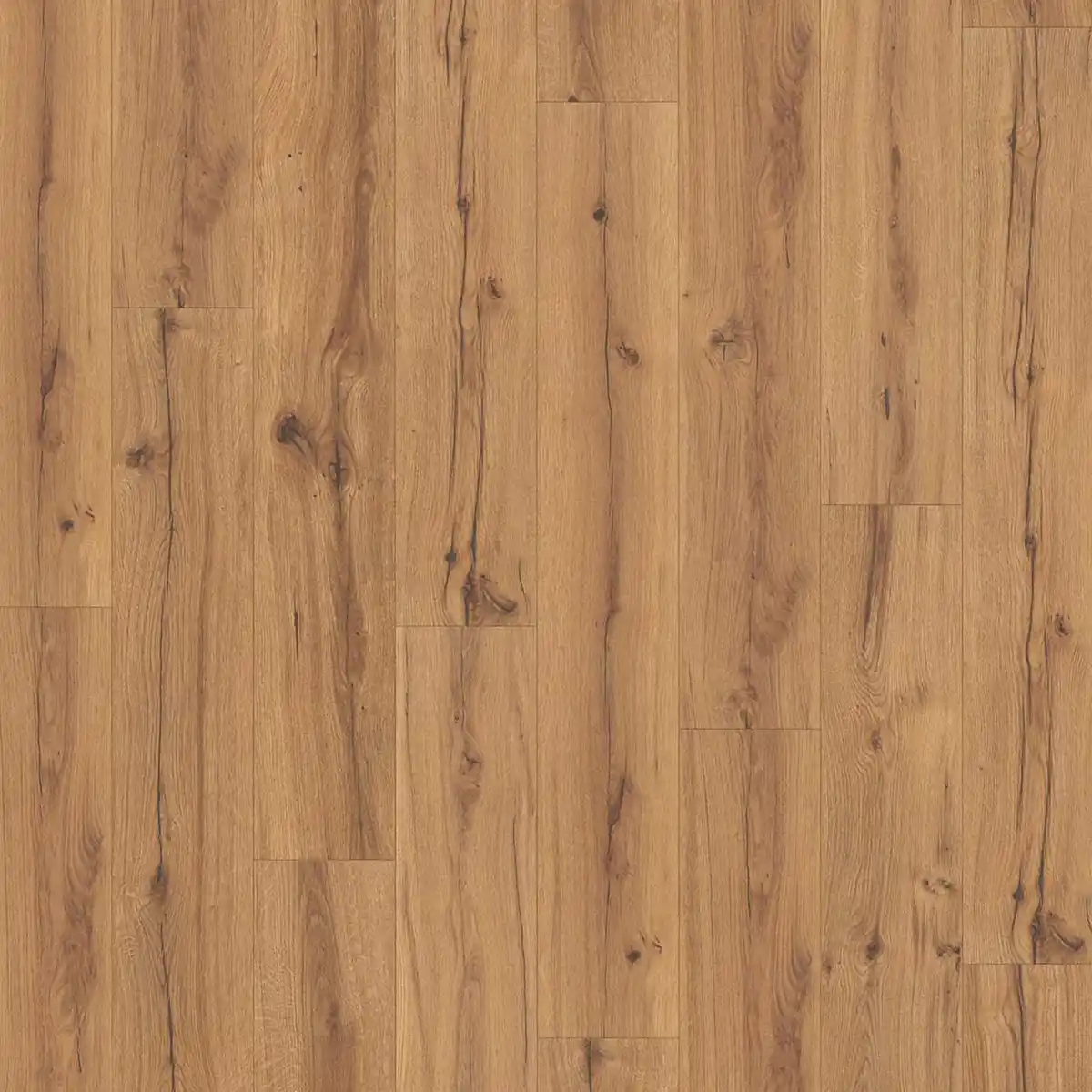 Bild 1 von Parador Laminat 'Basic 400' Eiche History eichefarben 8 mm umlaufende Fase