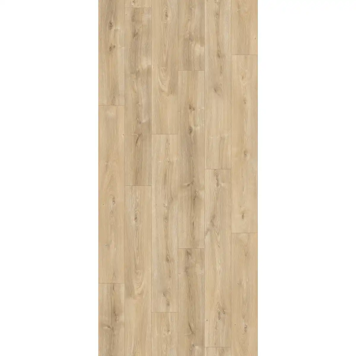 Bild 1 von Parador Laminat 'Basic 200' Eiche Nova hell gekälkt 7 mm