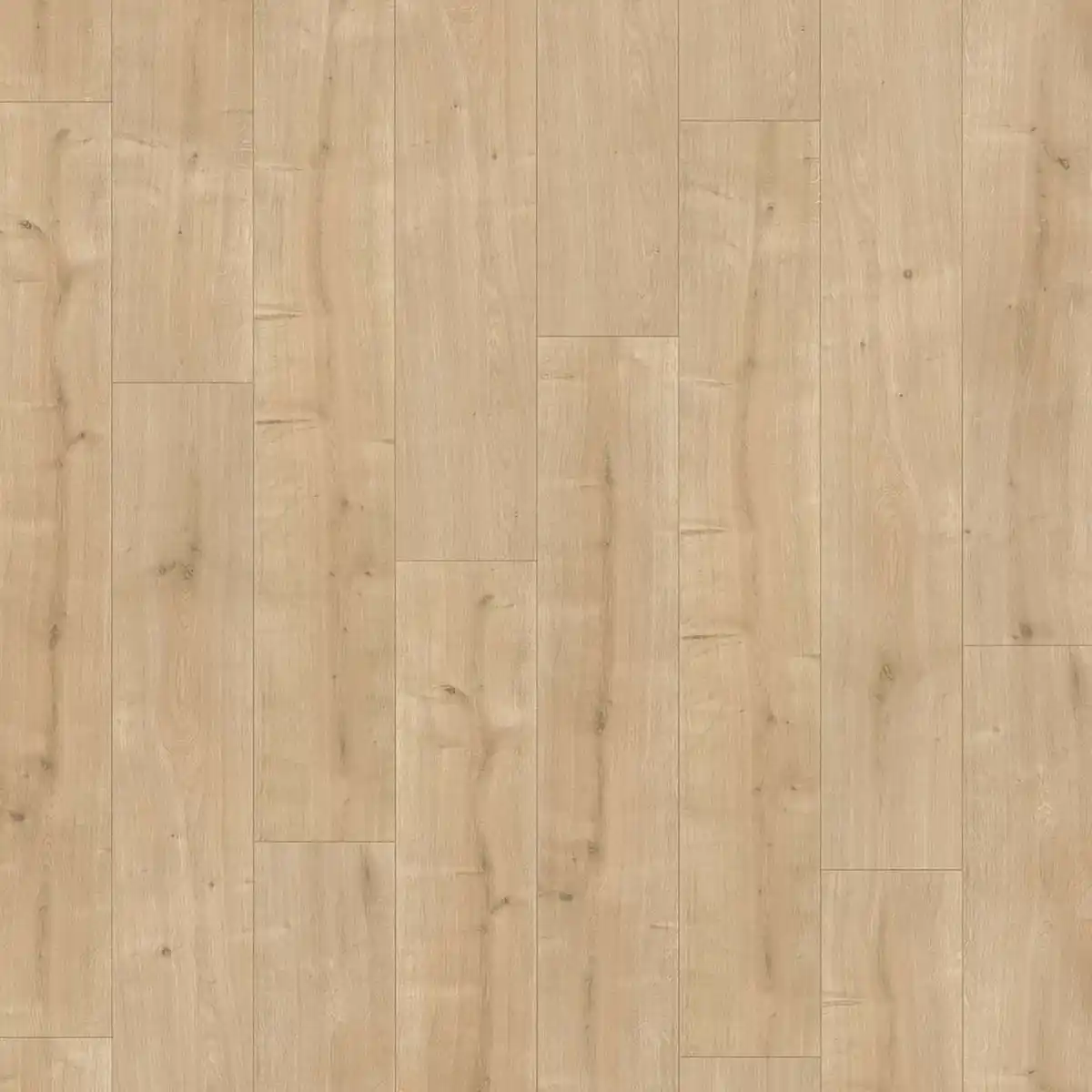 Bild 1 von Parador Laminat 'Basic 400' Eiche geschliffen braun 8 mm