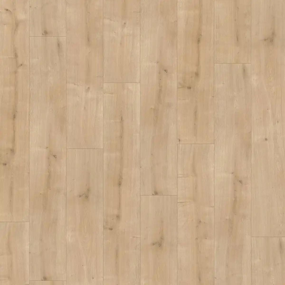 Bild 1 von Parador Laminat 'Basic 200' Eiche geschliffen braun 7 mm