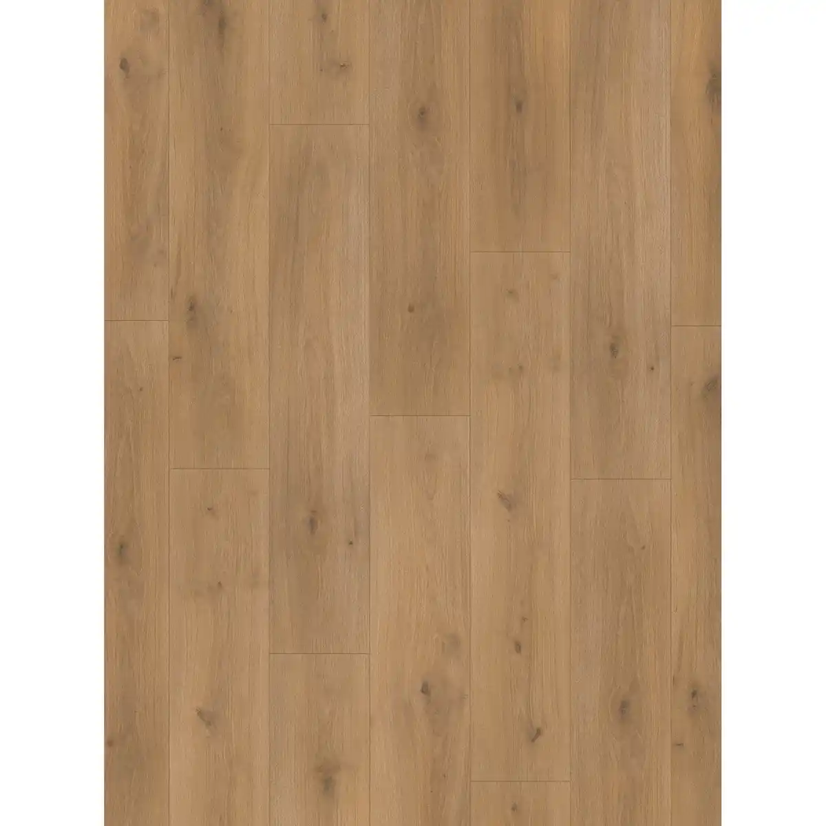Bild 1 von Parador Laminat 'Basic 600' Eiche Horizont natur seidenmatt 8 mm