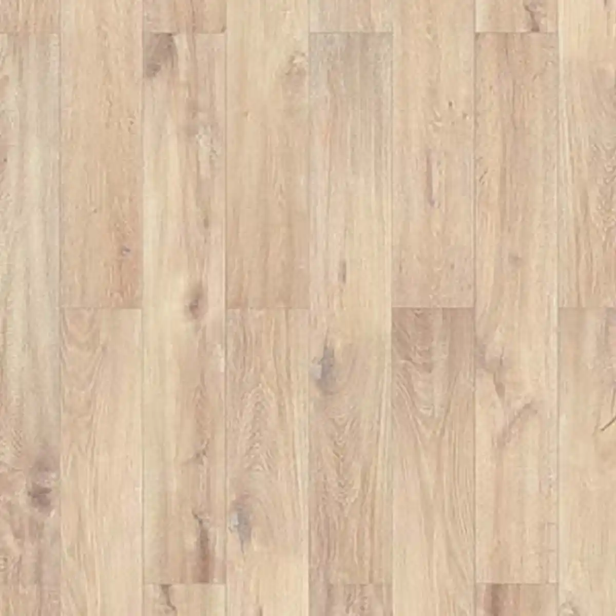 Bild 1 von toom Laminat 'Scandinavia' Caucasus hellbraun 7 mm