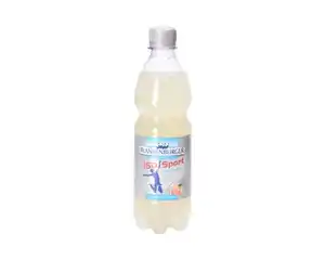 Blankenburger ISO Sport Drink Grapefruit-Zitrone 500 ml