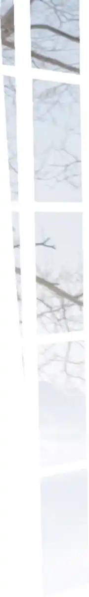 Bild 3 von IDEENWELT Thermoleggings beige Gr. S