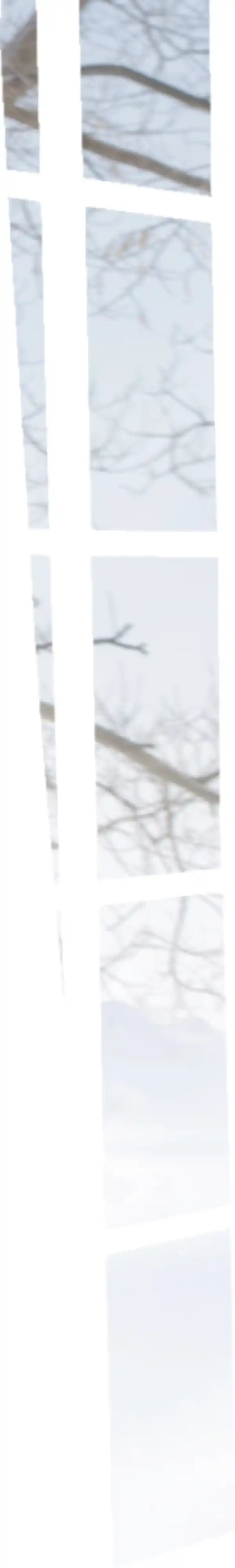 Bild 3 von IDEENWELT Thermoleggings beige Gr. S