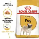 Bild 1 von ROYAL CANIN Mops Adult 3 kg