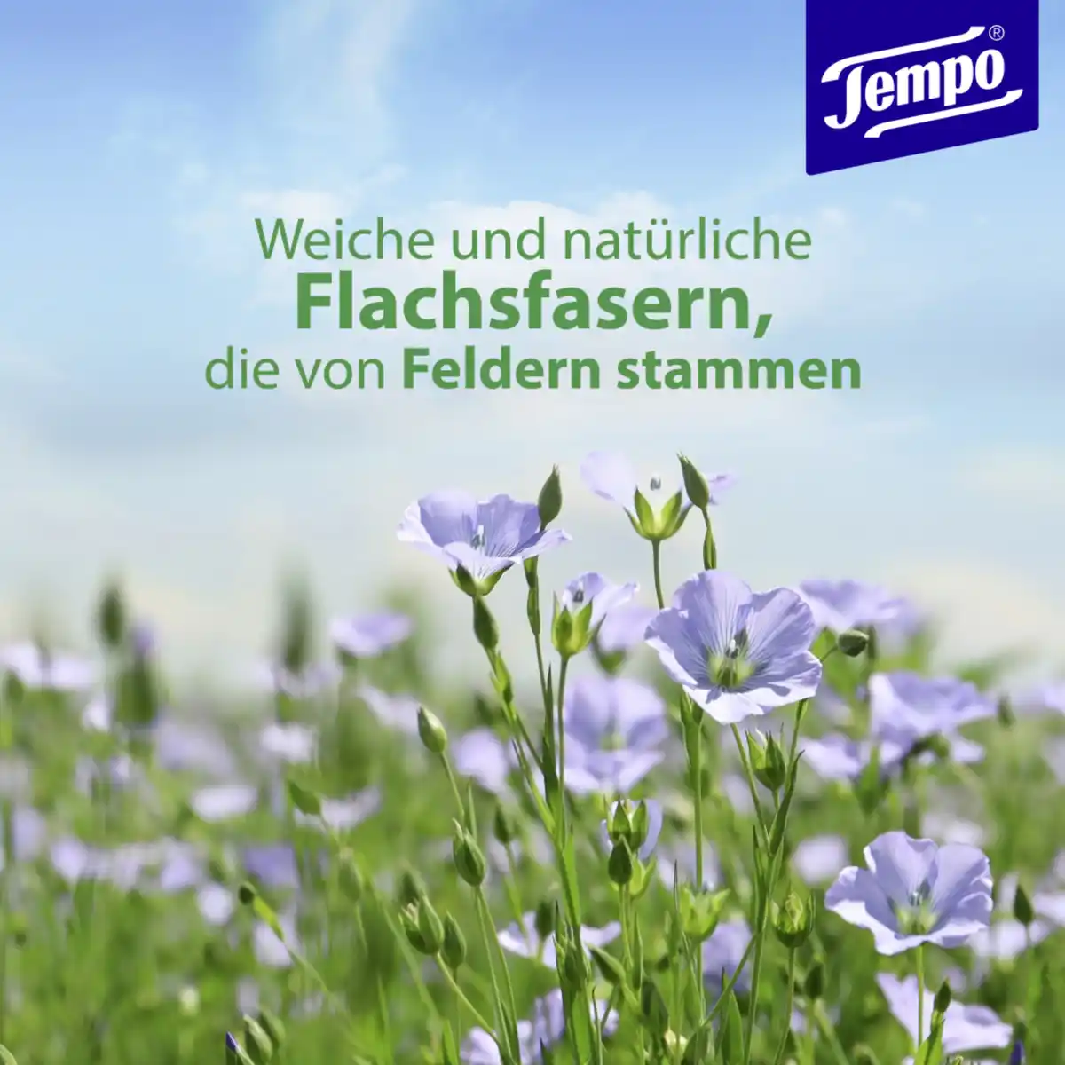 Bild 4 von Tempo Feuchte Toilettentücher Tropical Morning