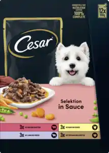 Cesar Selektion in Sauce Multipack, 1,2 kg