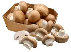 Champignons