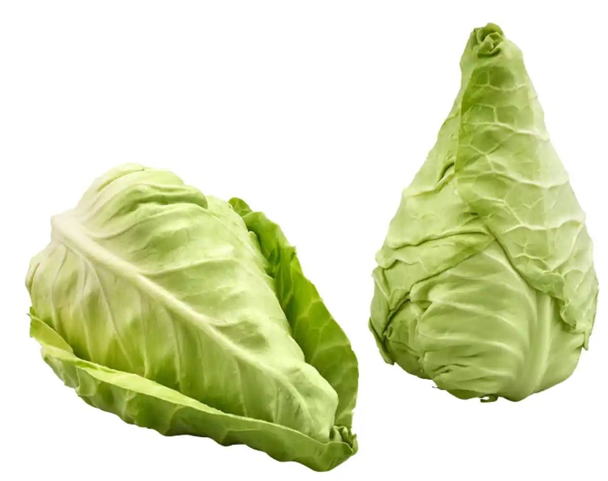 Bild 1 von Spitzkohl