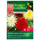 Bild 3 von Finest Garden Blumenzwiebel-Mischung