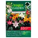 Bild 2 von Finest Garden Blumenzwiebel-Mischung