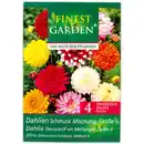 Bild 4 von Finest Garden Blumenzwiebel-Mischung