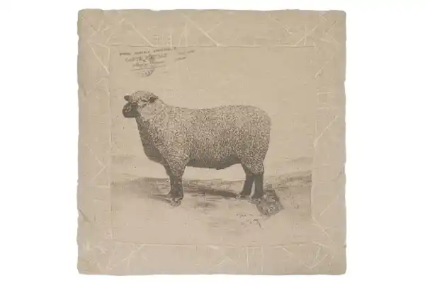 Bild 1 von Kissen "Sheep", quadratisch