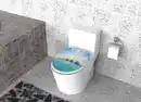 Bild 2 von Duschwell Duroplast WC-Sitz mit Motiv - Wasserbungalow