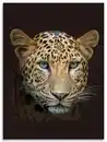 Bild 1 von Flanell Wohndecke Leopard