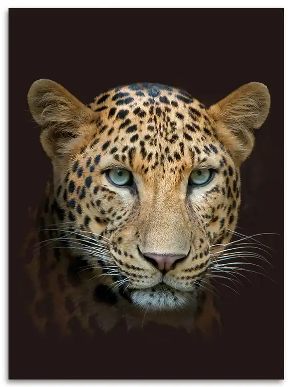 Bild 1 von Flanell Wohndecke Leopard