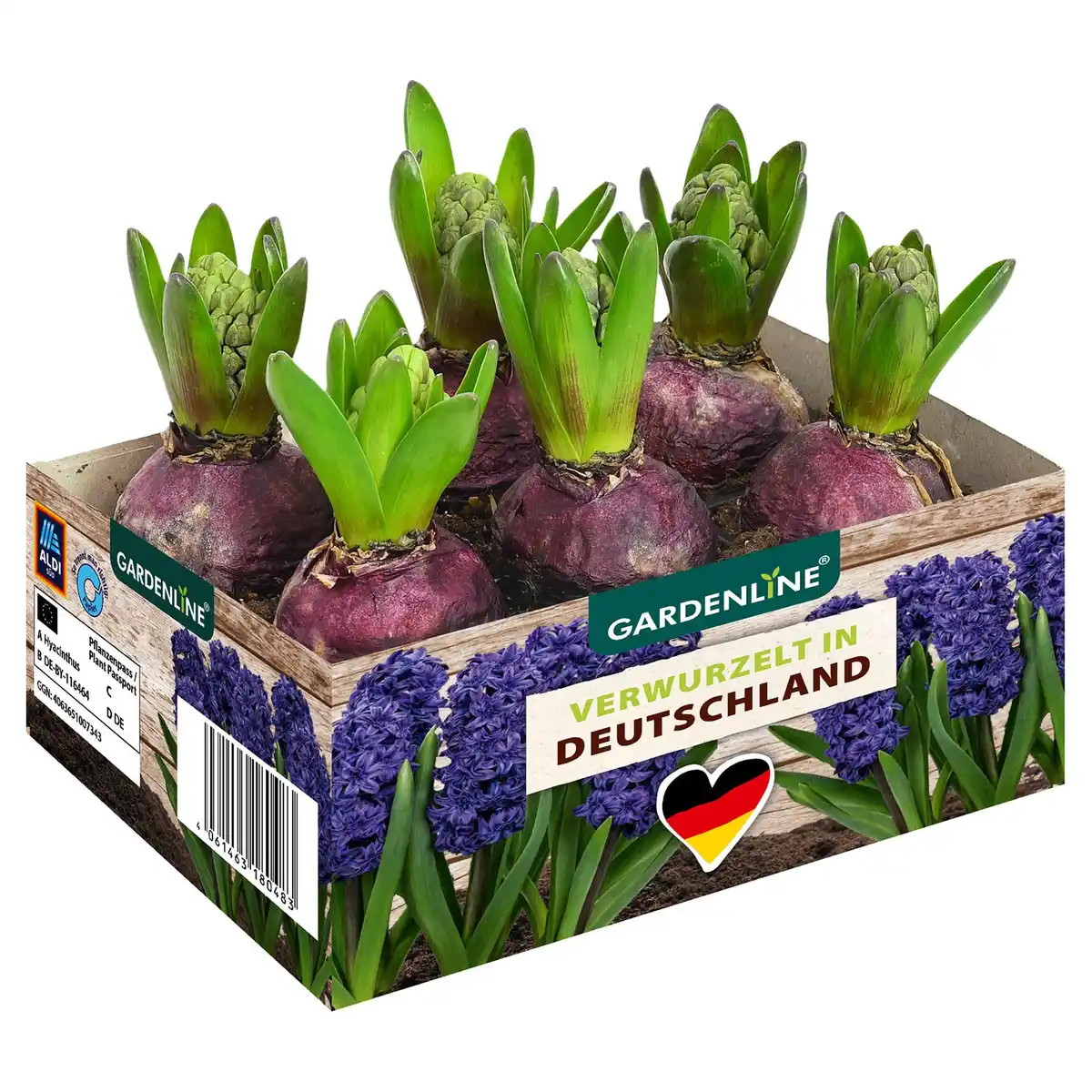 Bild 1 von GARDENLINE Frühlingszwiebeln