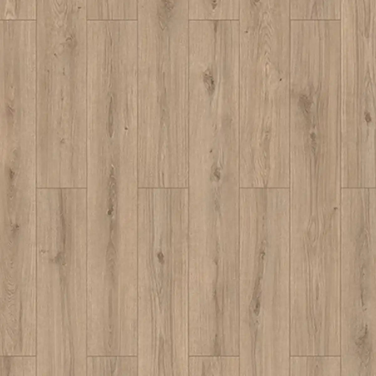 Bild 1 von Classen Laminat 'HydroClick' Schlosseiche 9 mm