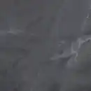 Bild 1 von Bodenfliese Feinsteinzeug Opium 60 x 60 cm schwarz