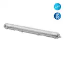 Bild 1 von LED-Feuchtraumleuchte Pipe 1-flammig 127 cm T8, G13, 18 W, 1800 lm