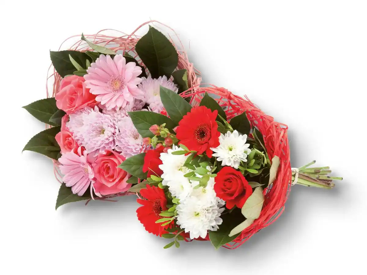 Bild 1 von Strauß Exklusiv