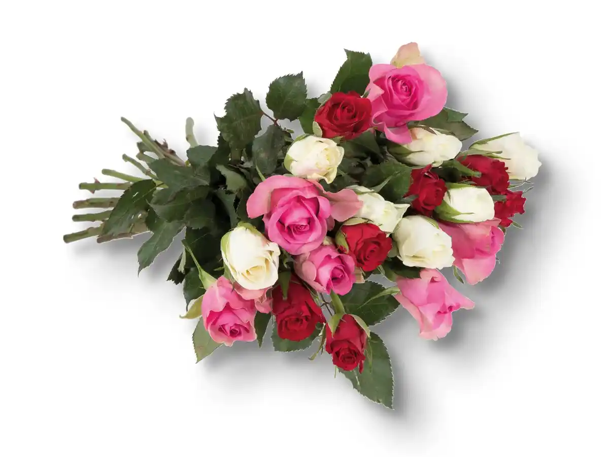 Bild 1 von Rosenstrauß bunt