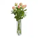 Bild 4 von GARDENLINE Langstielige Rosen