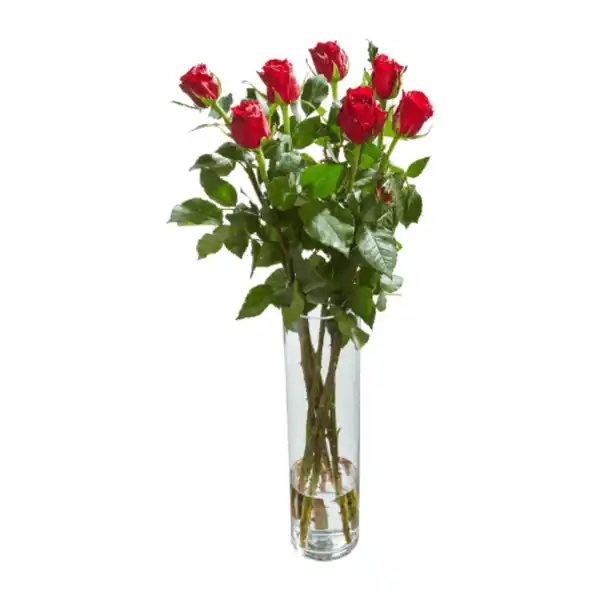 Bild 2 von GARDENLINE Langstielige Rosen