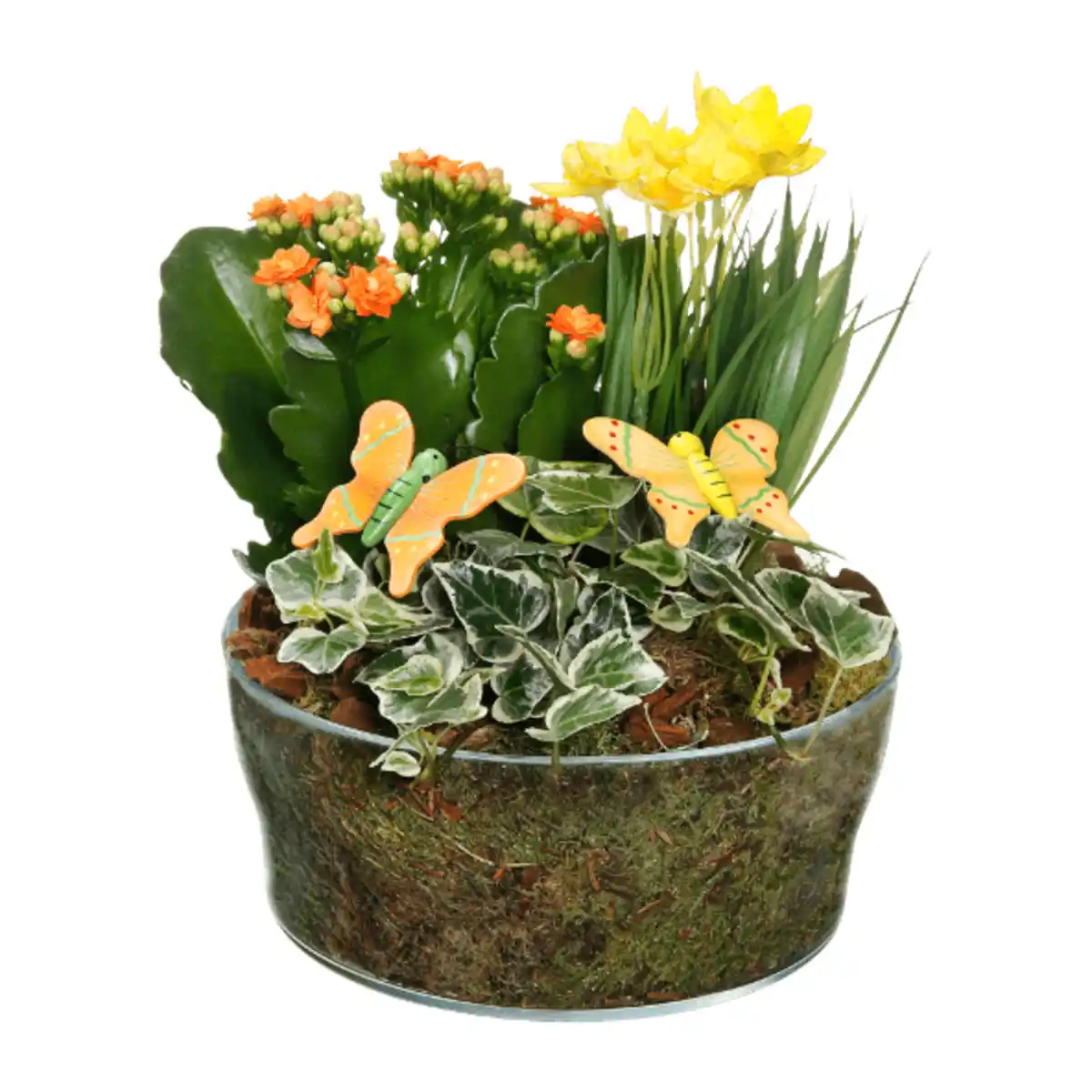 Bild 2 von GARDENLINE Frühlingsschale