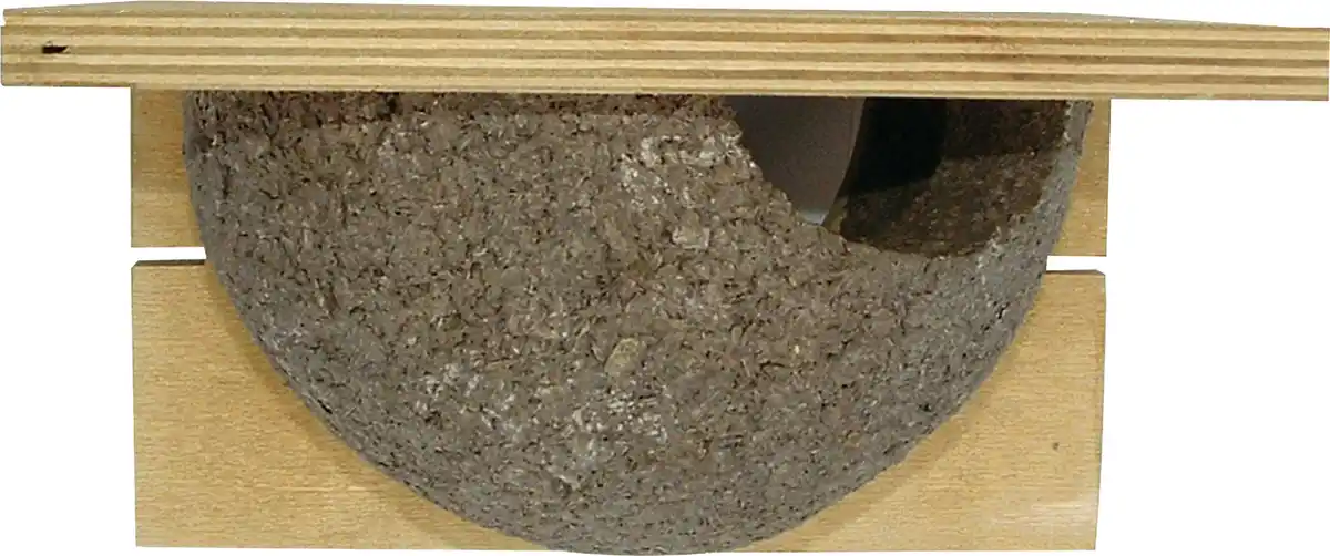 Bild 1 von CJ Wildlife Kunstnistkasten Cancun natur LxBxH: 16x20x11,5 cm